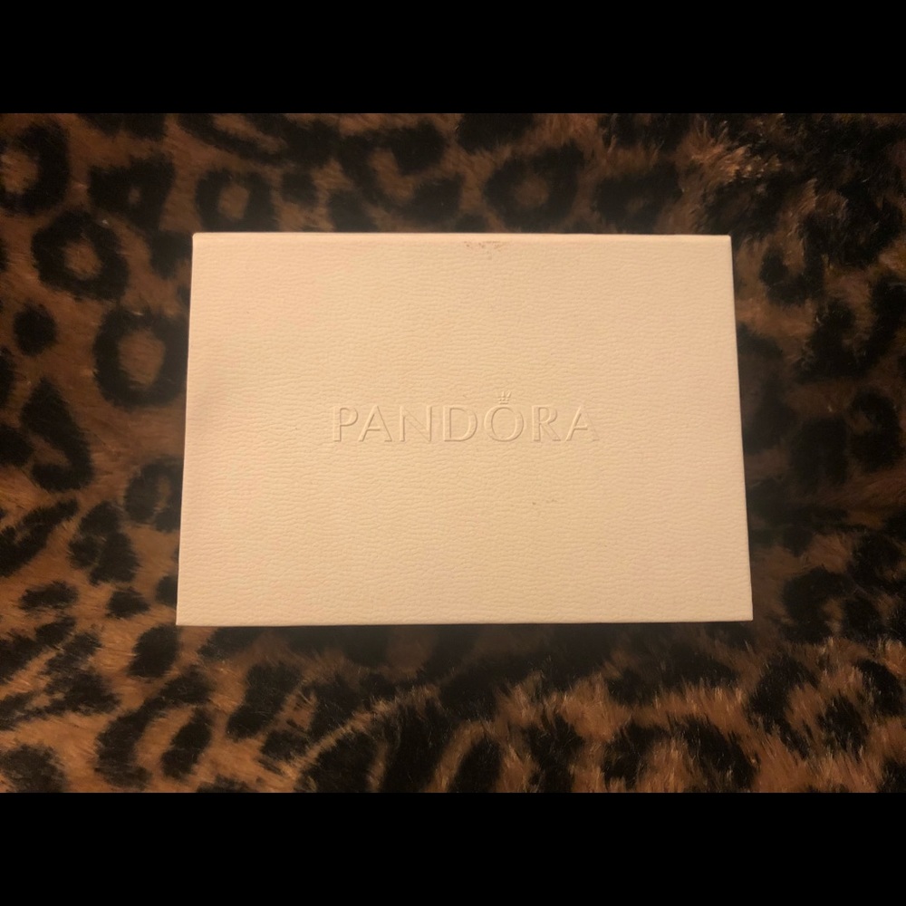 Pandora Jewelry Care Kit